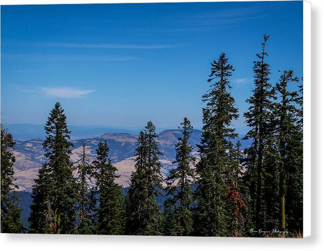 Mt Shasta 3 - Canvas Print