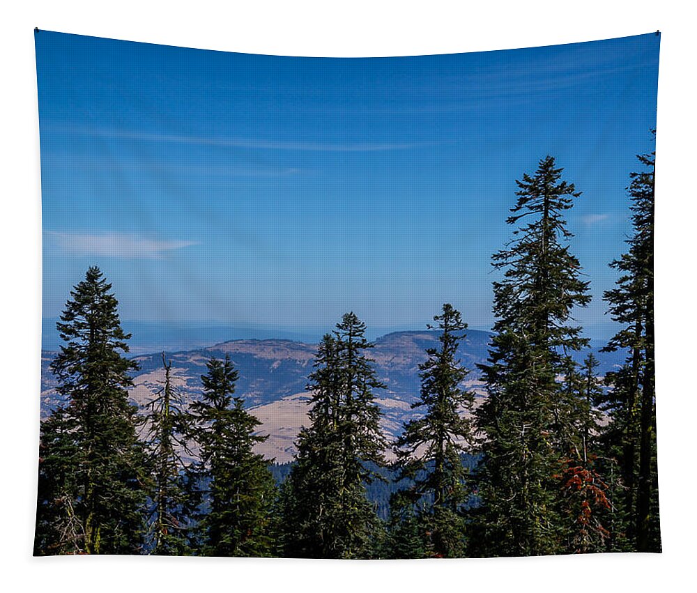 Mt Shasta 3 - Tapestry