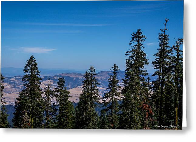 Mt Shasta 3 - Greeting Card