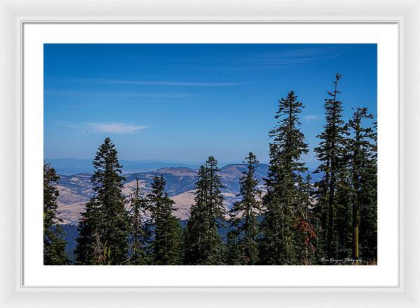 Mt Shasta 3 - Framed Print