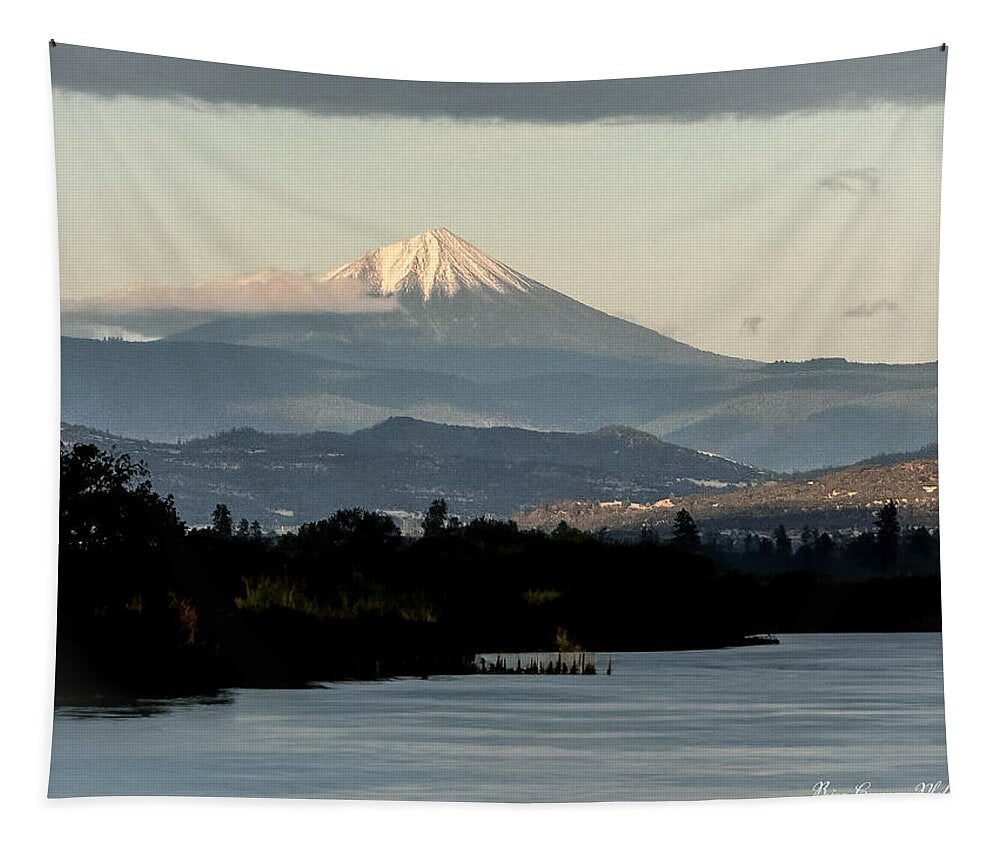 Mt Shasta - Tapestry