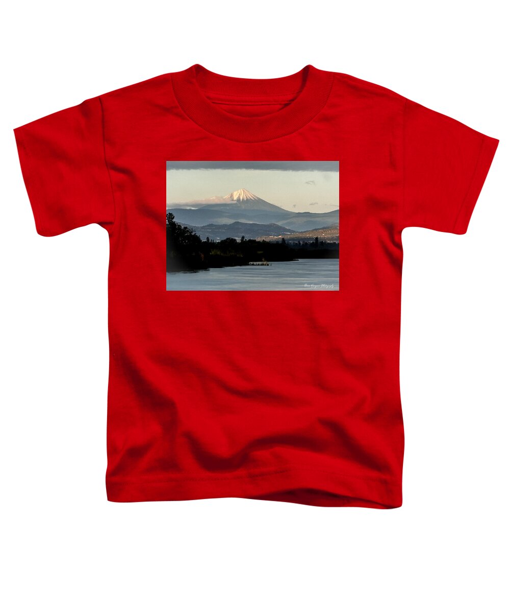 Mt Shasta - Toddler T-Shirt