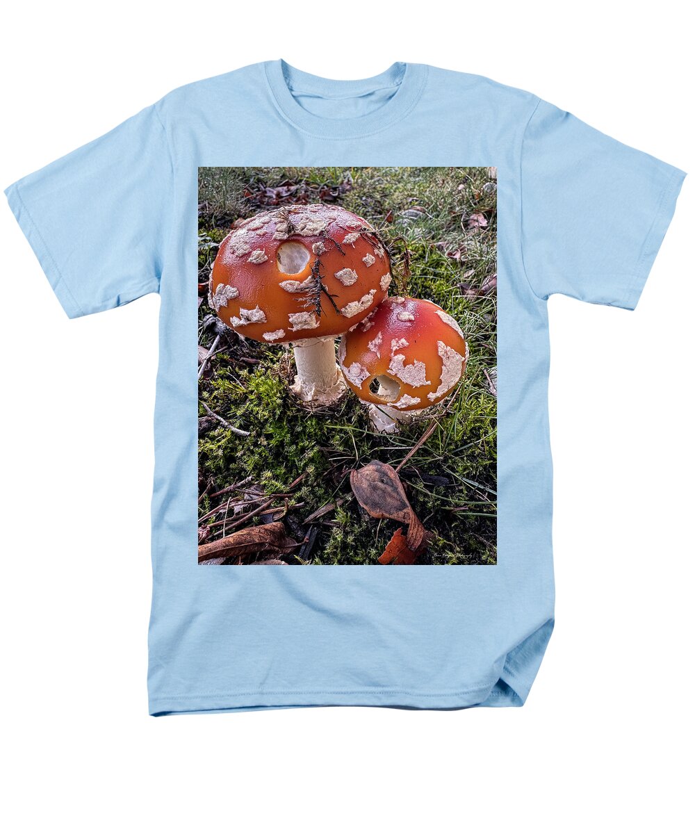 Mushrooms - Men's T-Shirt (Regular Fit)