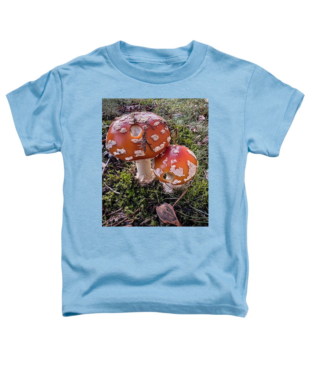 Mushrooms - Toddler T-Shirt