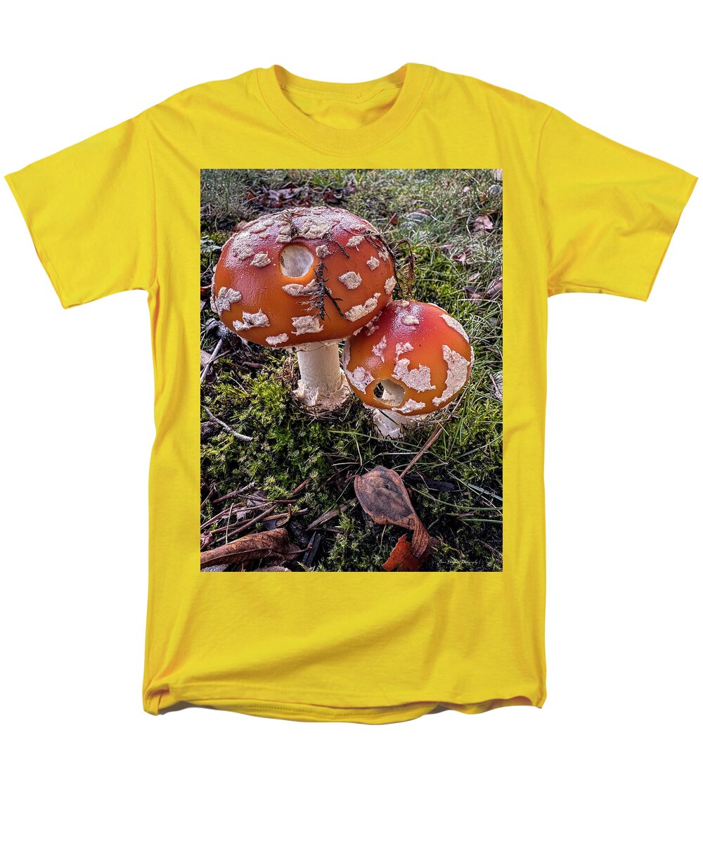 Mushrooms - Men's T-Shirt (Regular Fit)