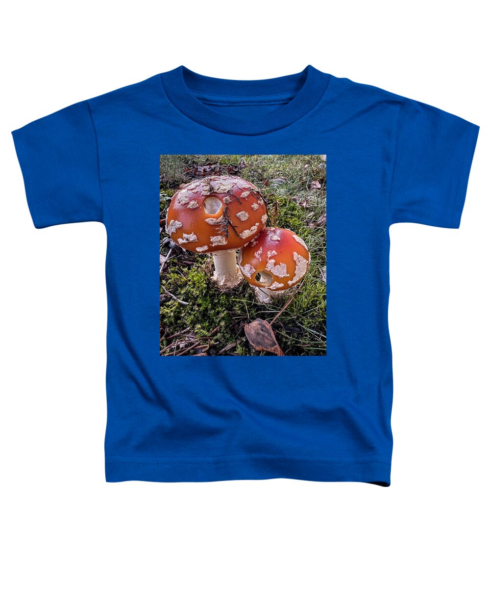 Mushrooms - Toddler T-Shirt