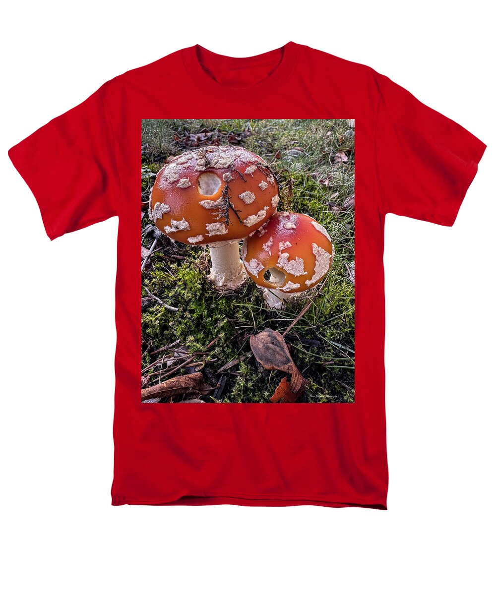 Mushrooms - Men's T-Shirt (Regular Fit)