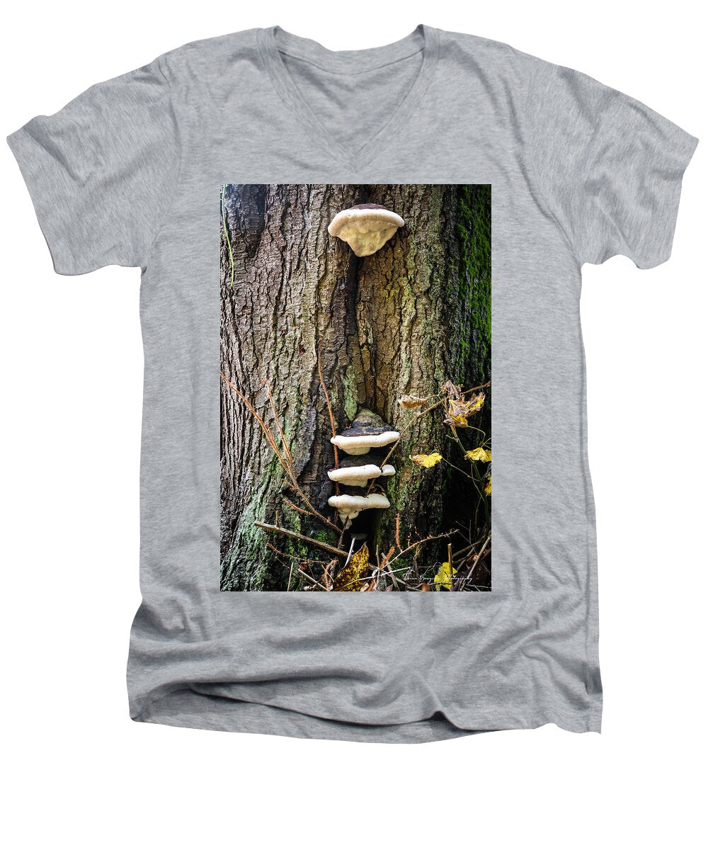 Mushrooms on the tree - Men's V-Neck T-Shirt