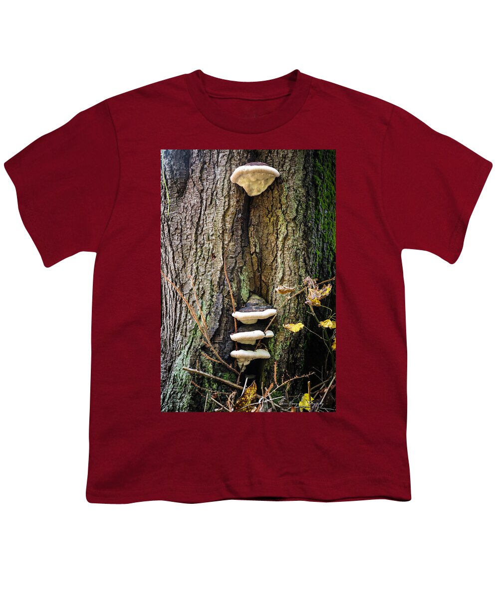 Mushrooms on the tree - Youth T-Shirt