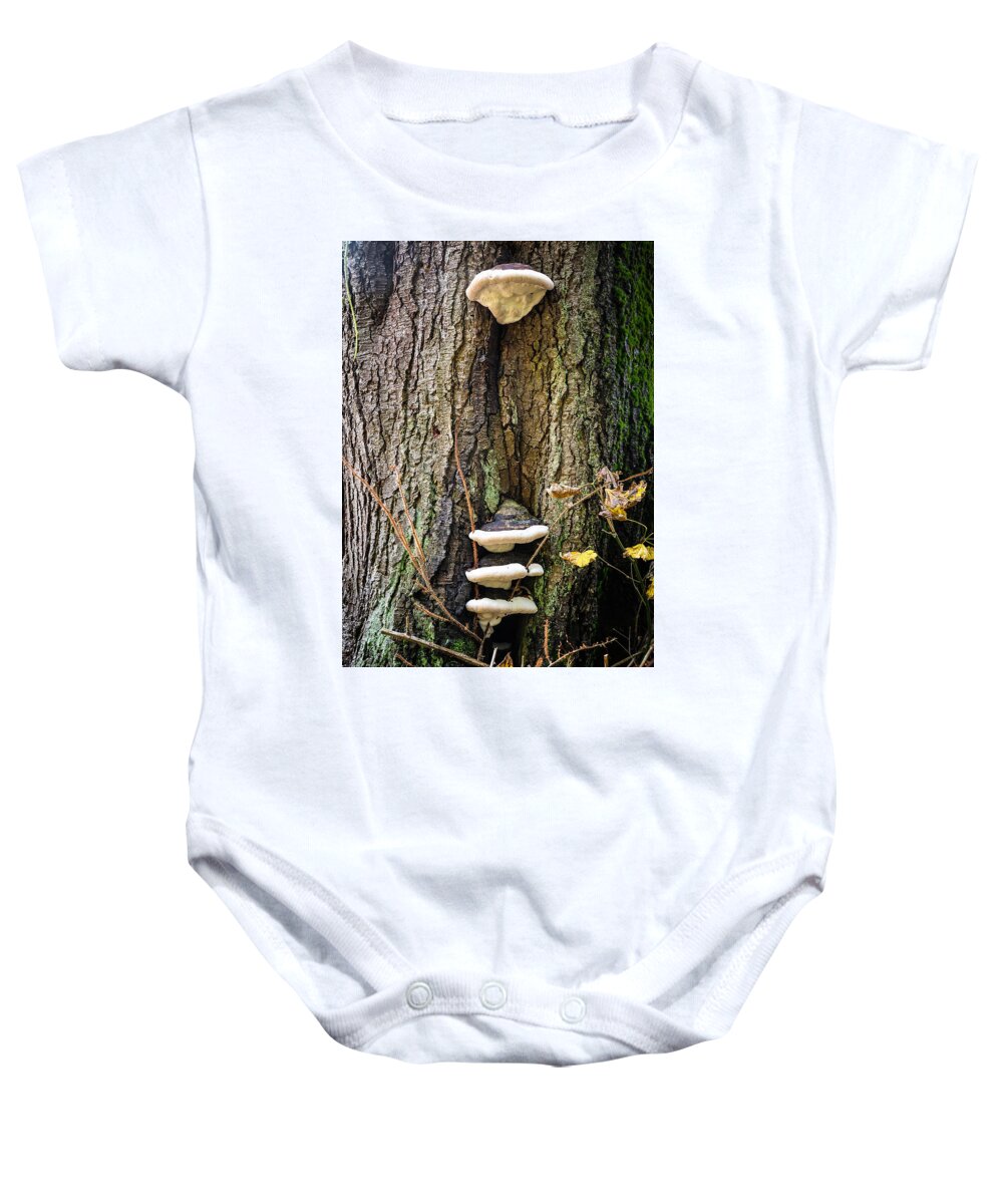 Mushrooms on the tree - Baby Onesie