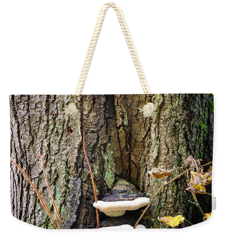 Mushrooms on the tree - Weekender Tote Bag