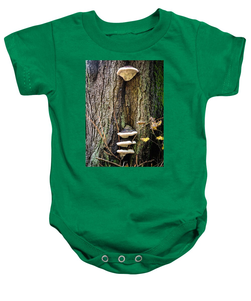 Mushrooms on the tree - Baby Onesie