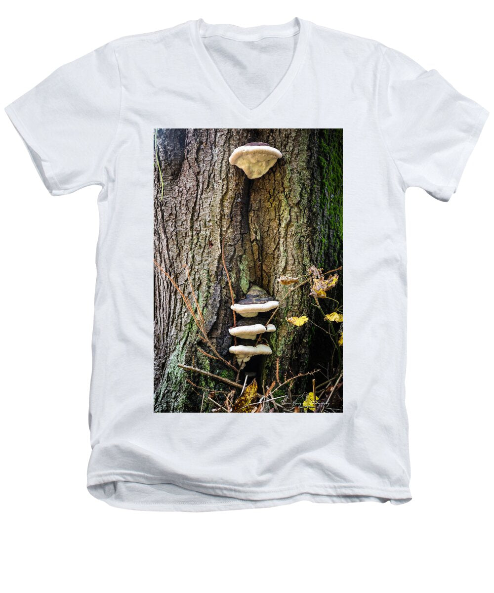 Mushrooms on the tree - Men's V-Neck T-Shirt