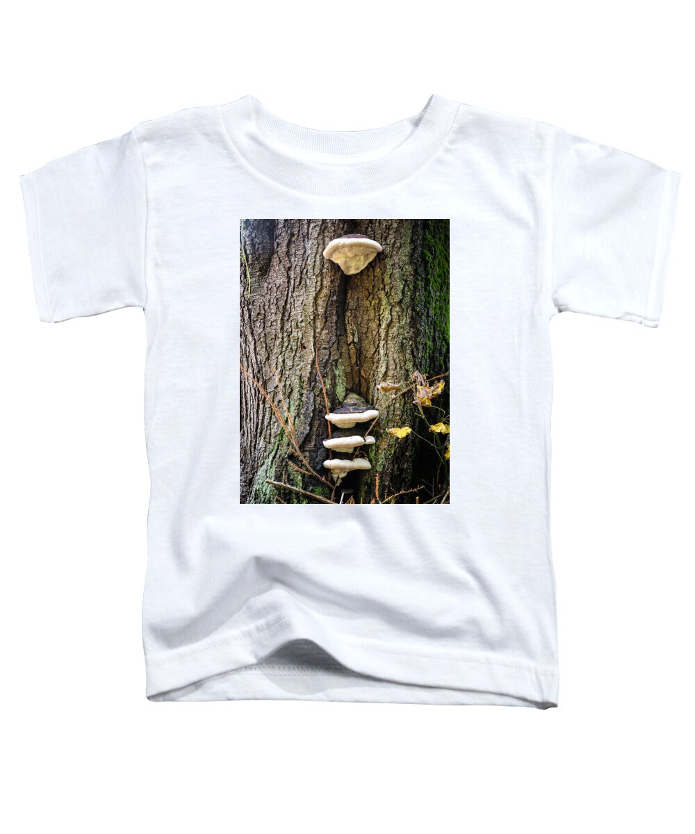 Mushrooms on the tree - Toddler T-Shirt