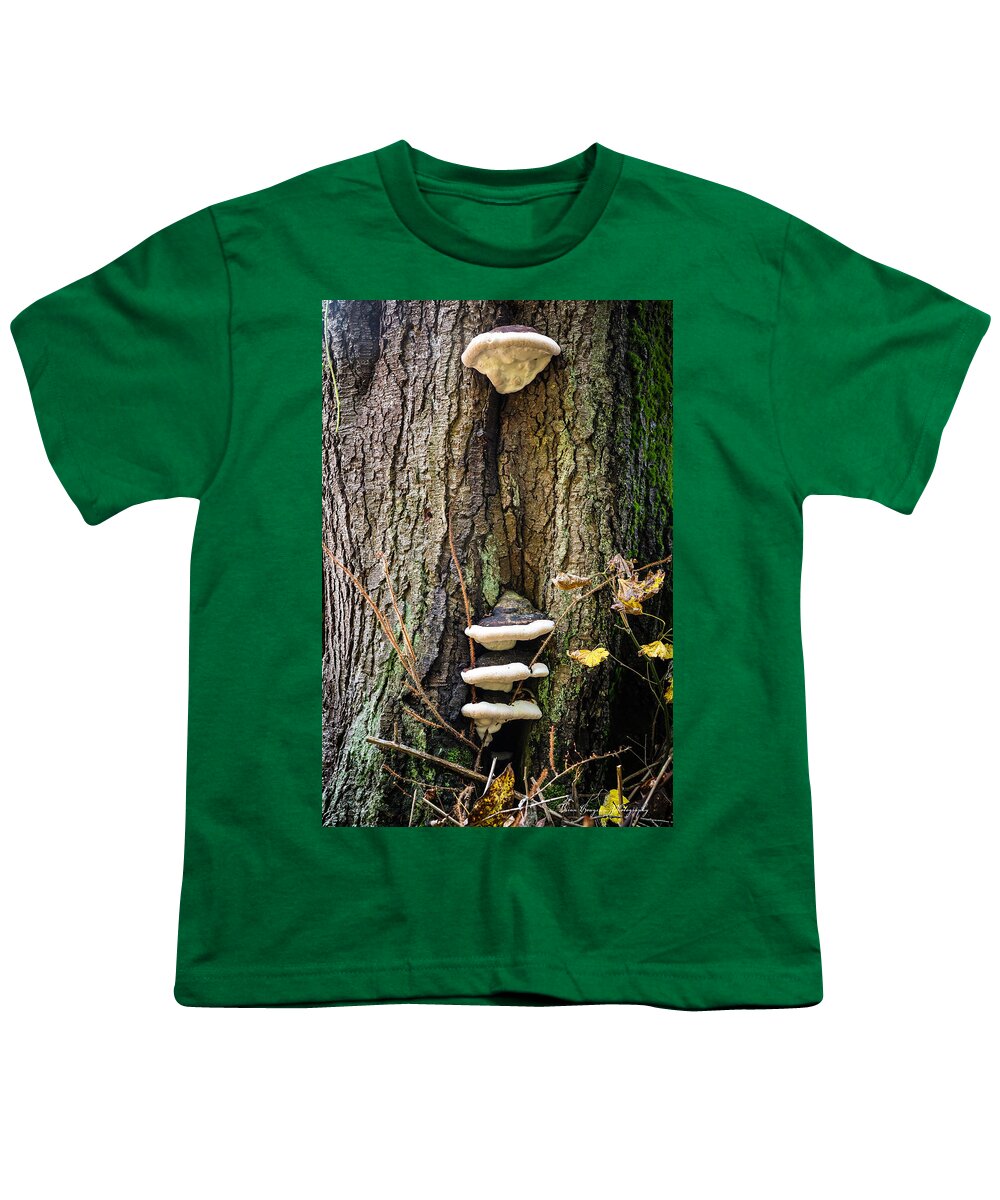Mushrooms on the tree - Youth T-Shirt