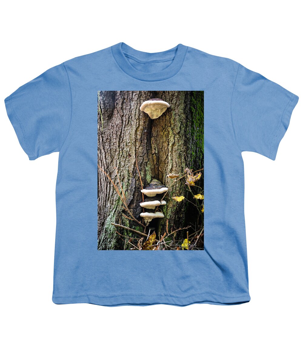 Mushrooms on the tree - Youth T-Shirt