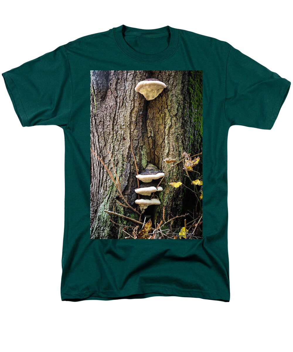 Mushrooms on the tree - Men's T-Shirt (Regular Fit)