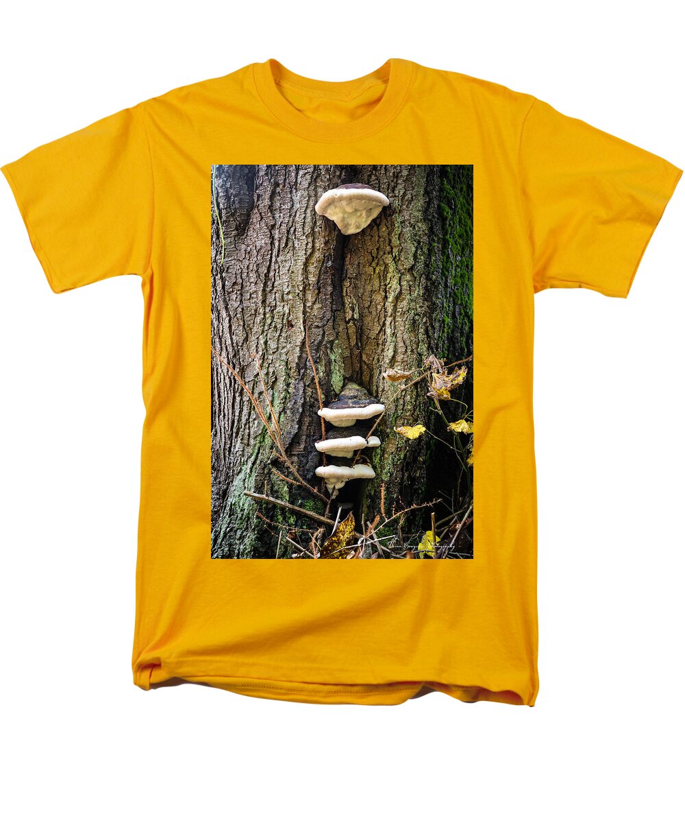 Mushrooms on the tree - Men's T-Shirt (Regular Fit)