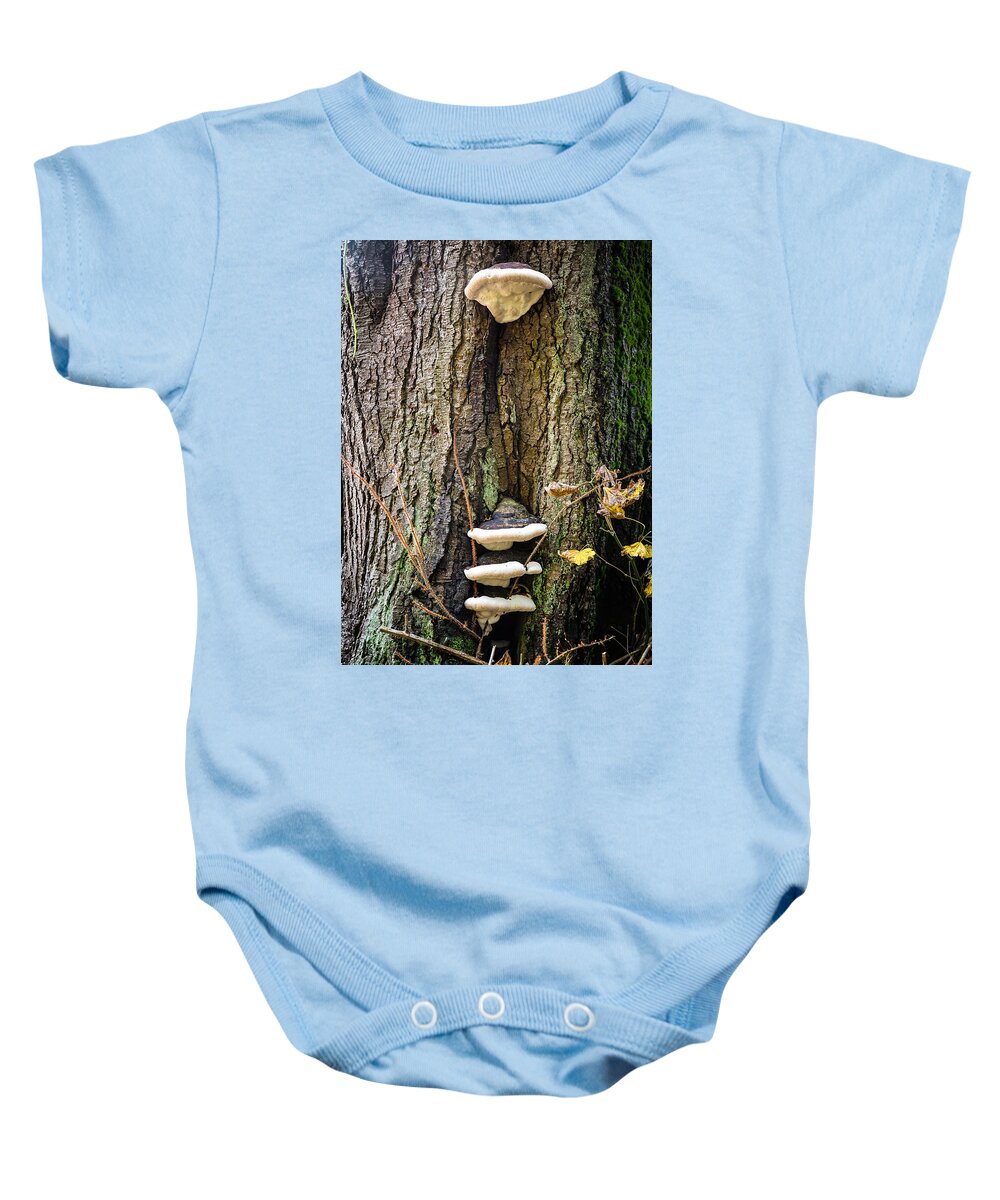 Mushrooms on the tree - Baby Onesie