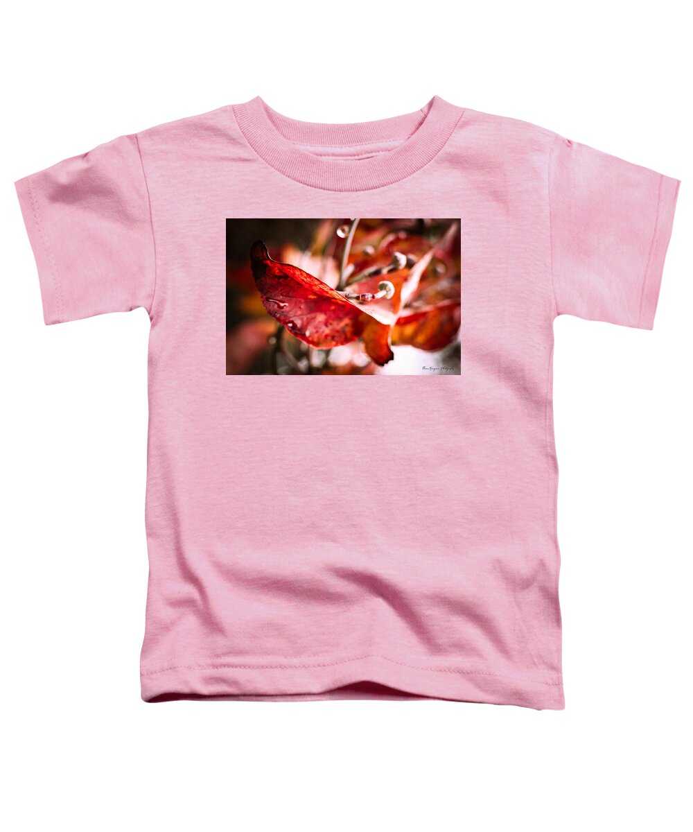 Red leaves - Toddler T-Shirt
