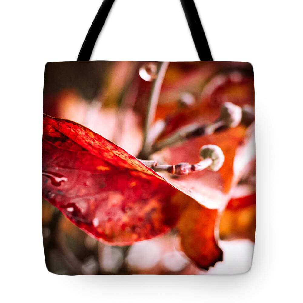 Red leaves - Tote Bag