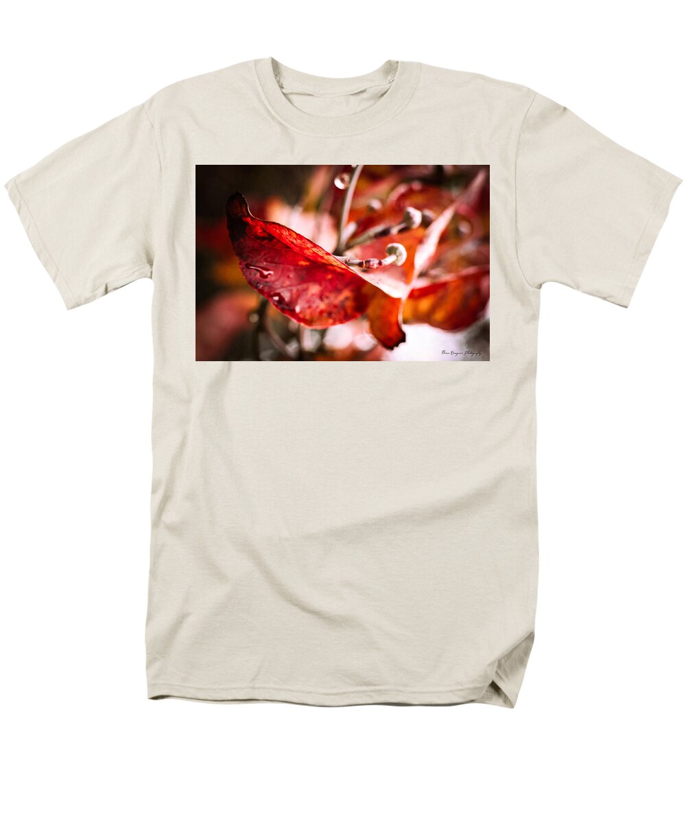 Red leaves - Men's T-Shirt (Regular Fit)