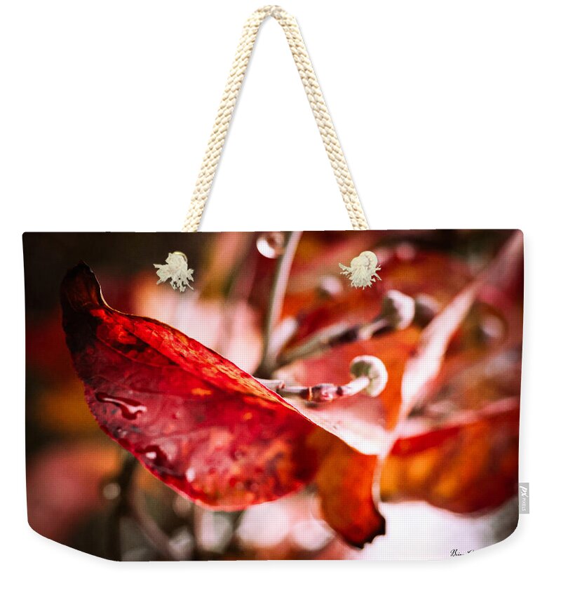 Red leaves - Weekender Tote Bag