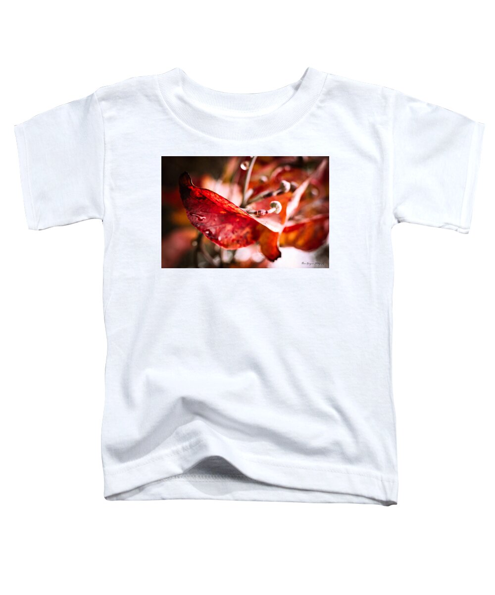 Red leaves - Toddler T-Shirt
