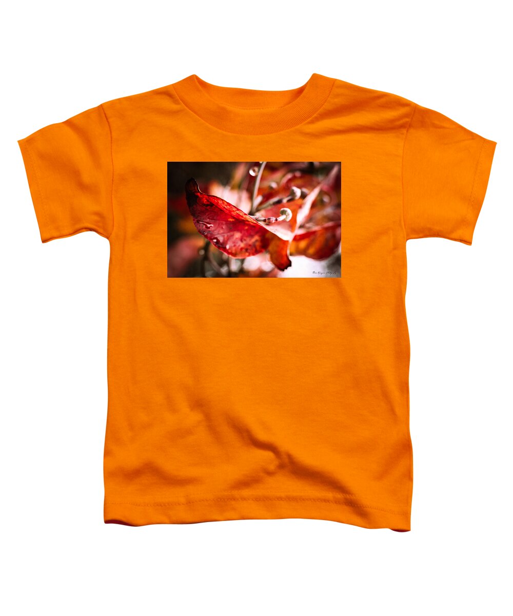 Red leaves - Toddler T-Shirt