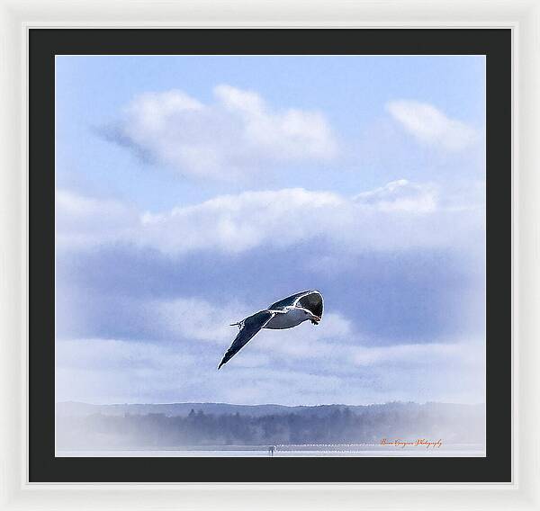 Seagal - Framed Print