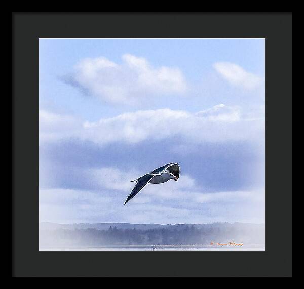 Seagal - Framed Print