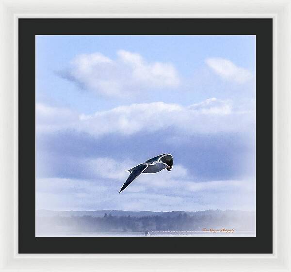 Seagal - Framed Print
