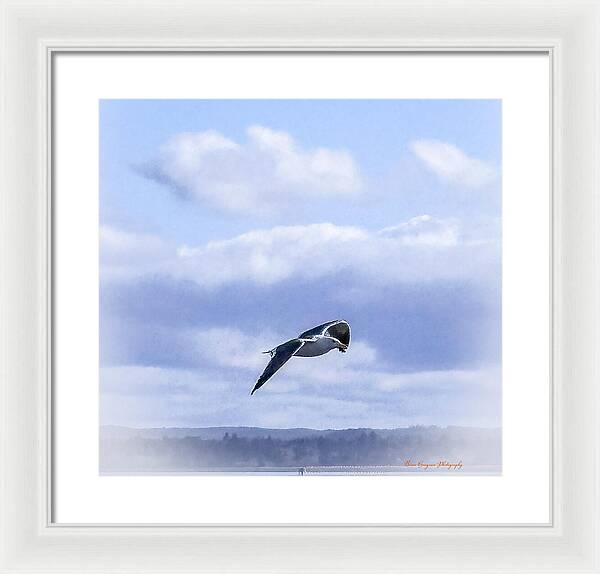 Seagal - Framed Print