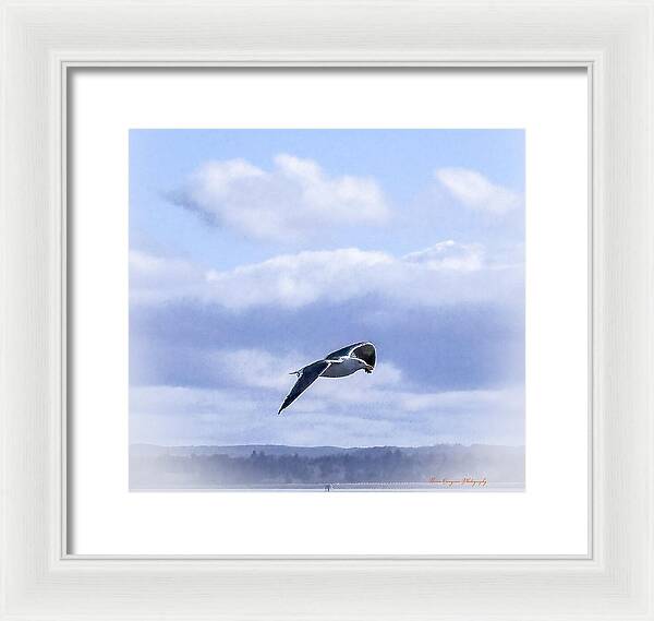Seagal - Framed Print