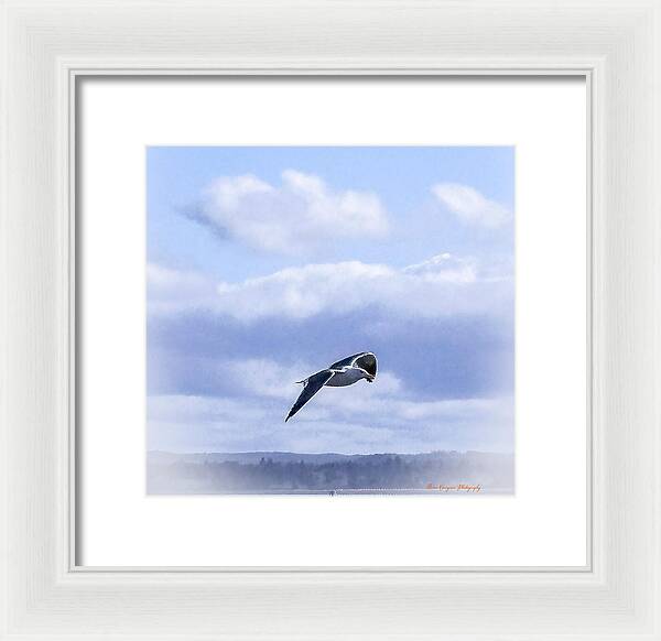 Seagal - Framed Print