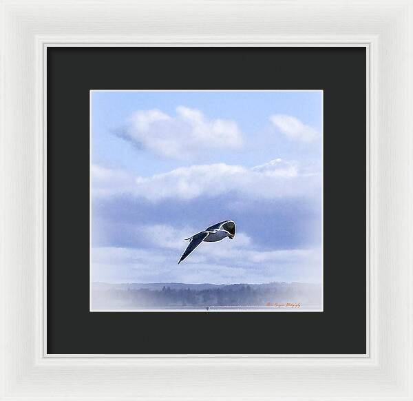Seagal - Framed Print