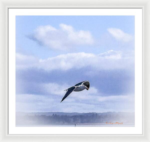 Seagal - Framed Print