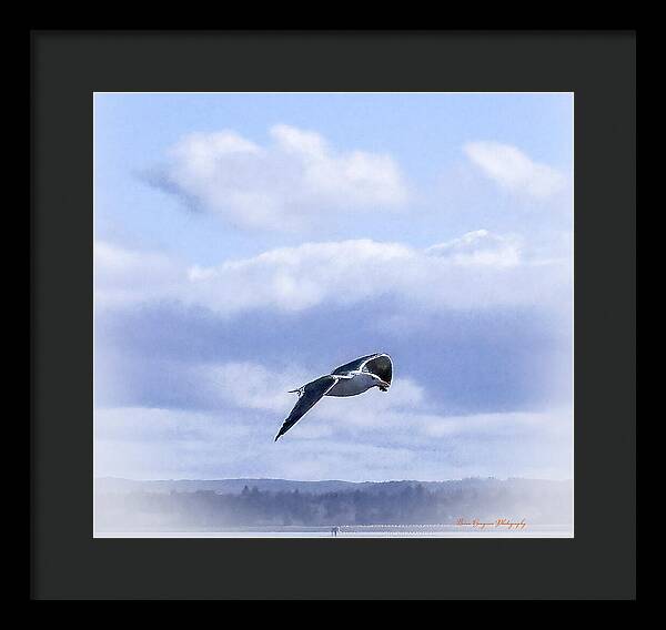 Seagal - Framed Print