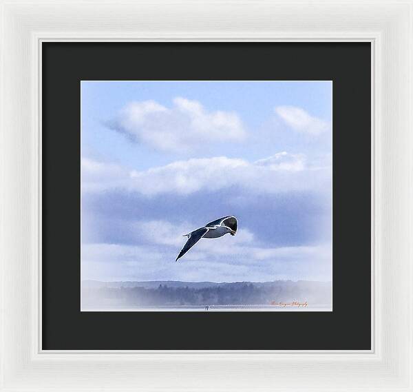 Seagal - Framed Print
