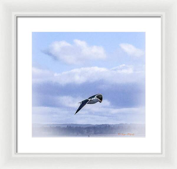 Seagal - Framed Print