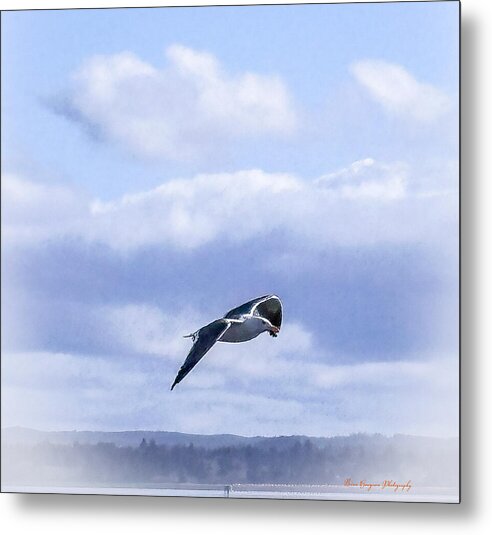 Seagal - Metal Print