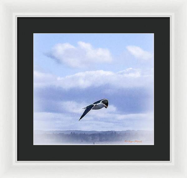 Seagal - Framed Print