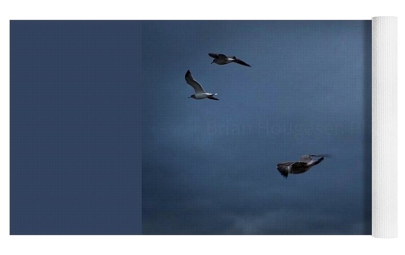 Seagulls in flight 2 - Yoga Mat