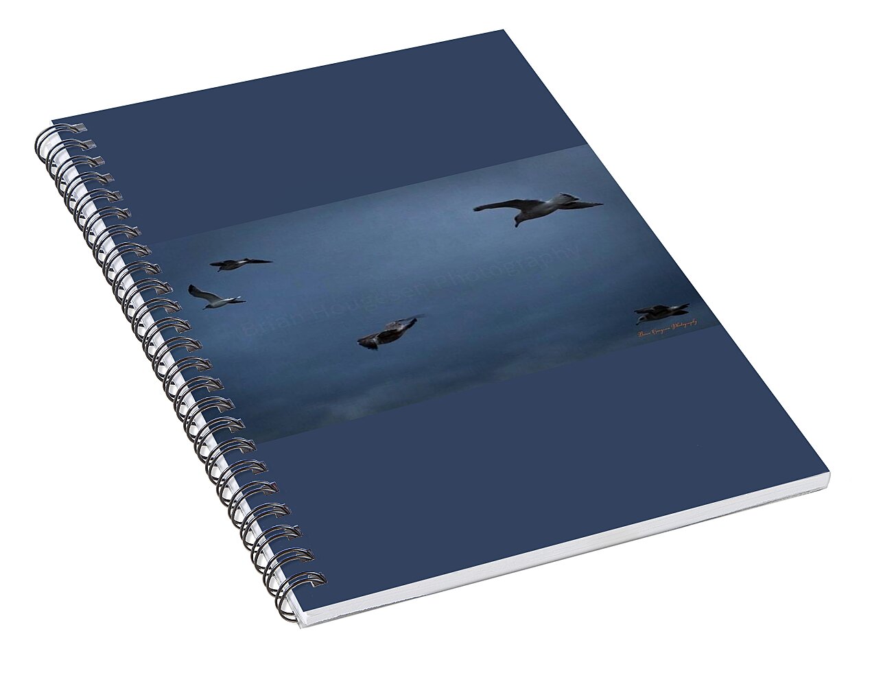 Seagulls in flight 2 - Spiral Notebook