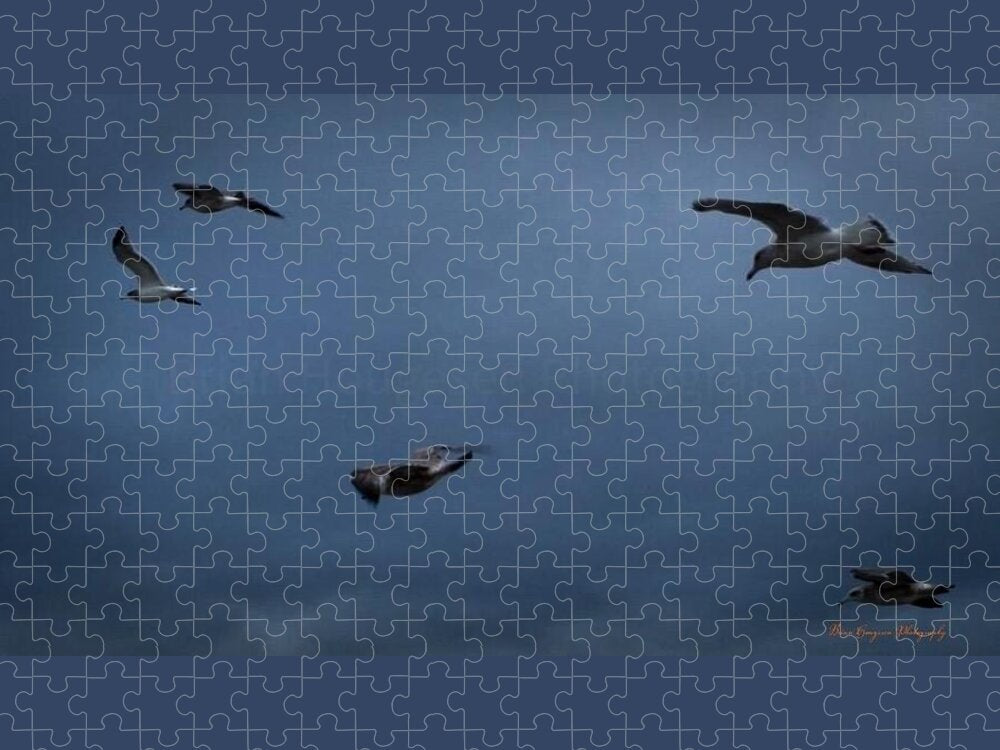 Seagulls in flight 2 - Puzzle