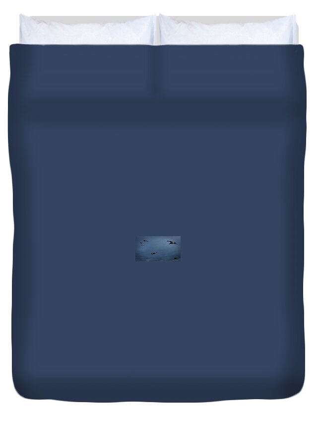 Seagulls in flight 2 - Duvet Cover