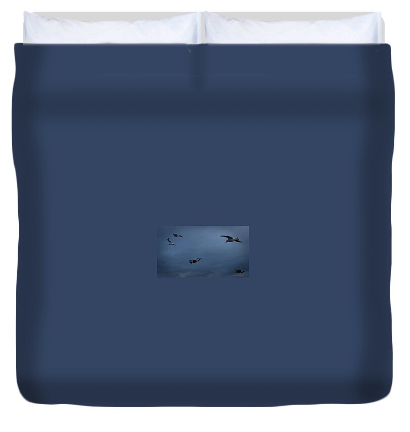 Seagulls in flight 2 - Duvet Cover