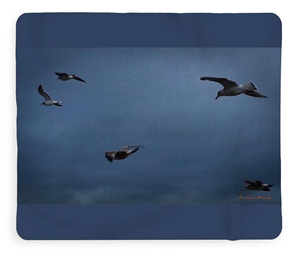 Seagulls in flight 2 - Blanket