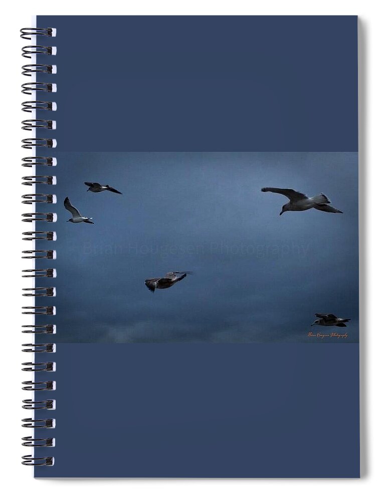 Seagulls in flight 2 - Spiral Notebook