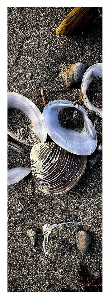 Seashells 6 - Yoga Mat